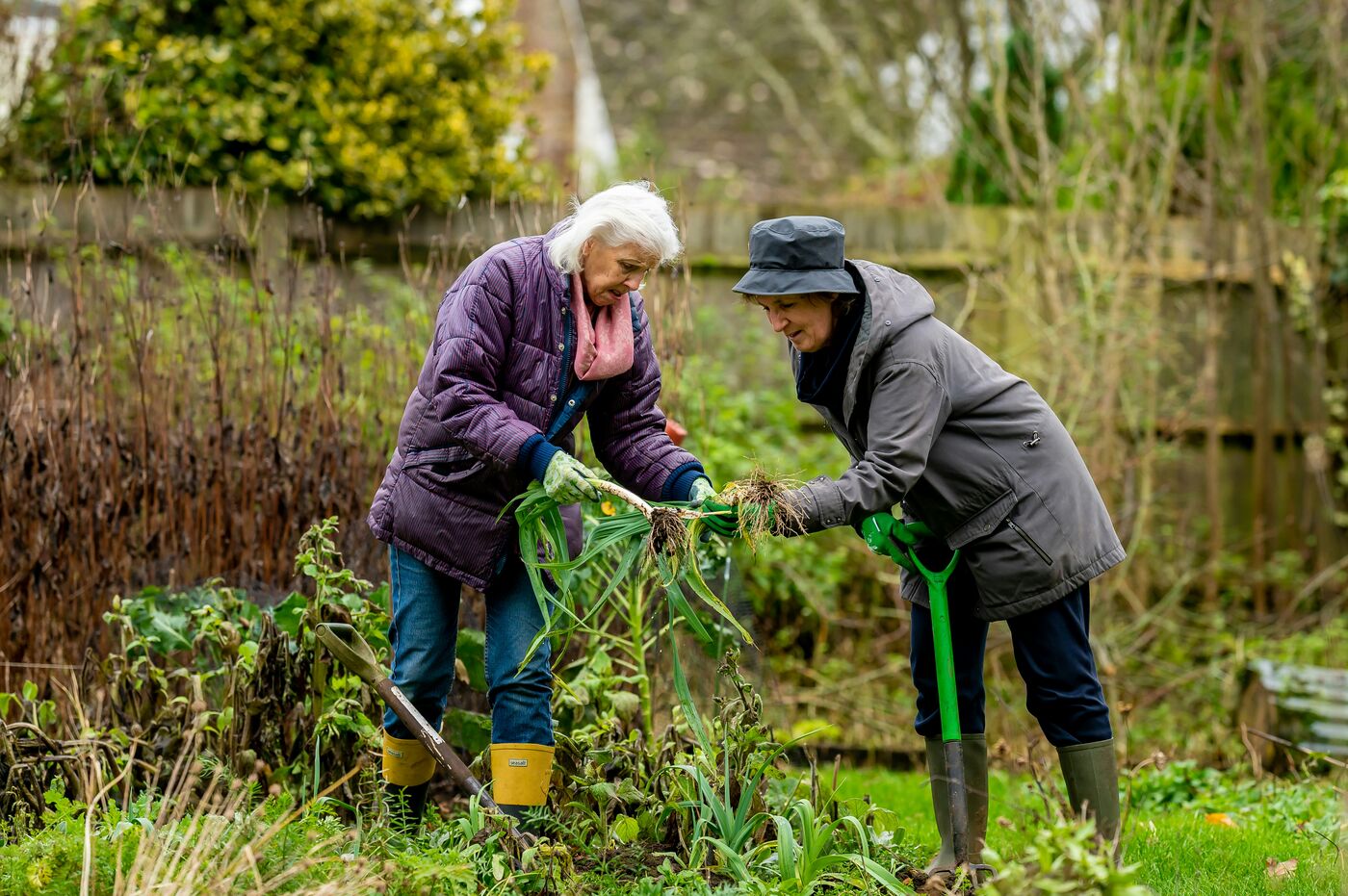Support worker helping an older woman with gardening outdoors — NDIS assistance with daily living in Perth
